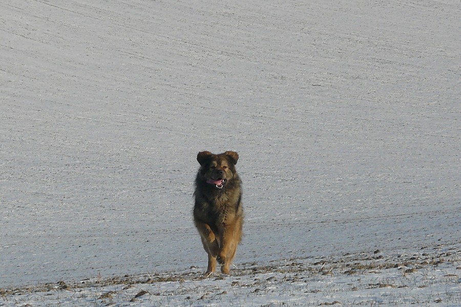 leden - únor  2009