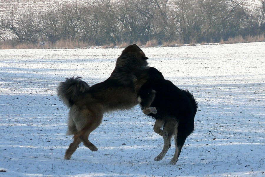 leden - únor  2009