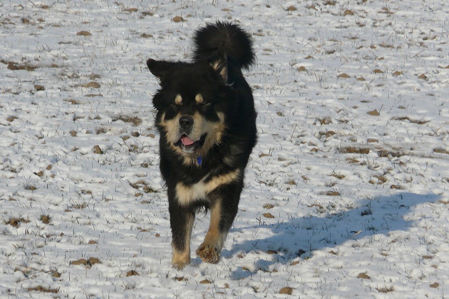 leden - únor  2009