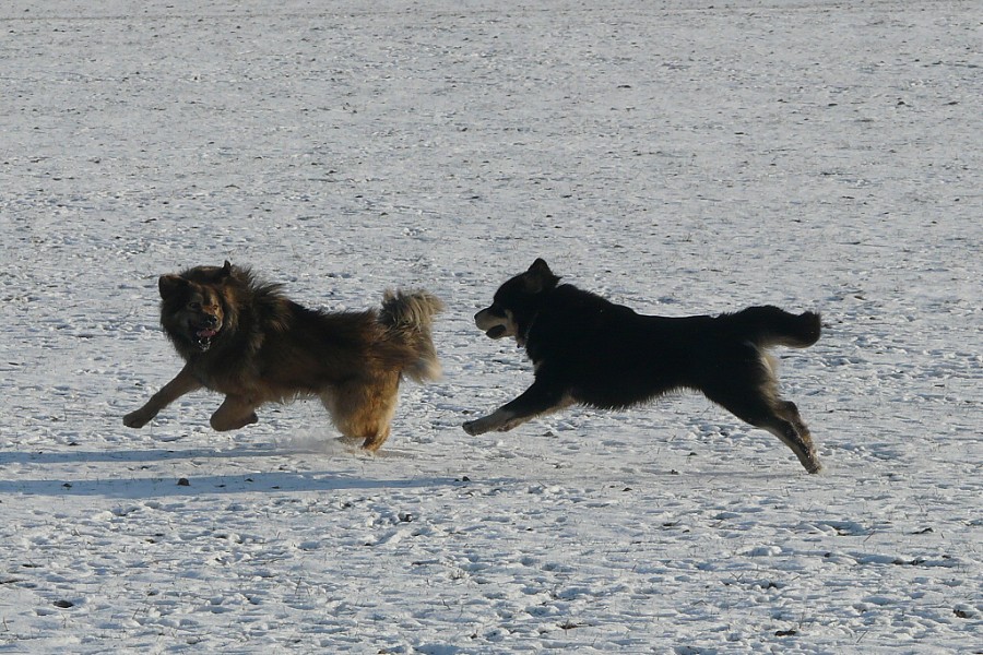 leden - únor  2009