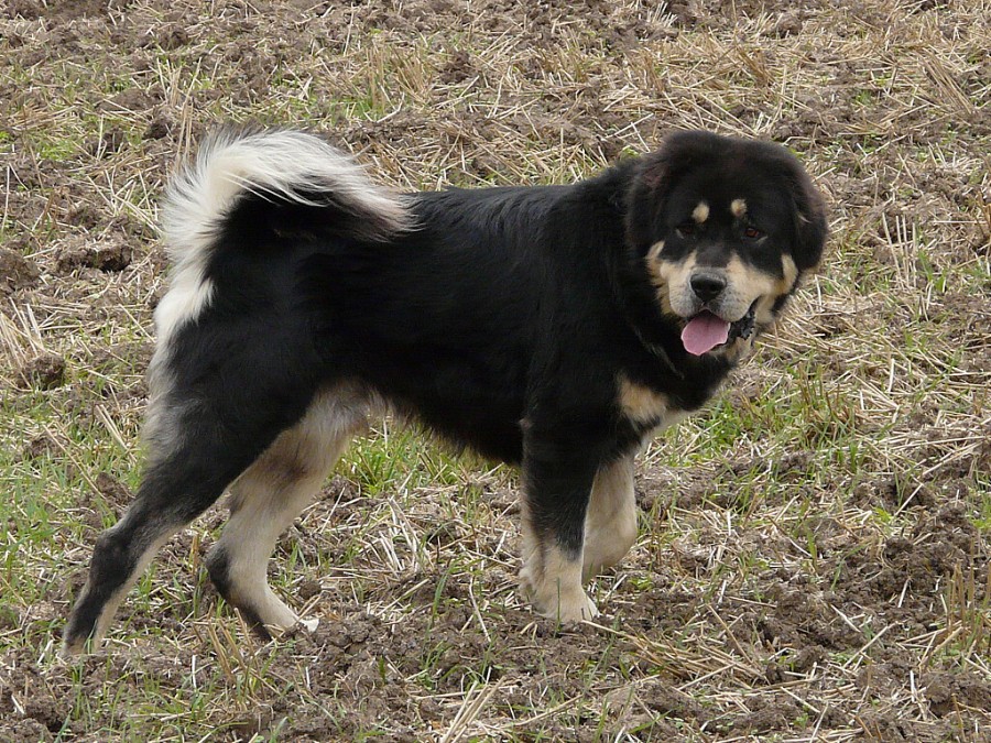 léto - podzim 2008