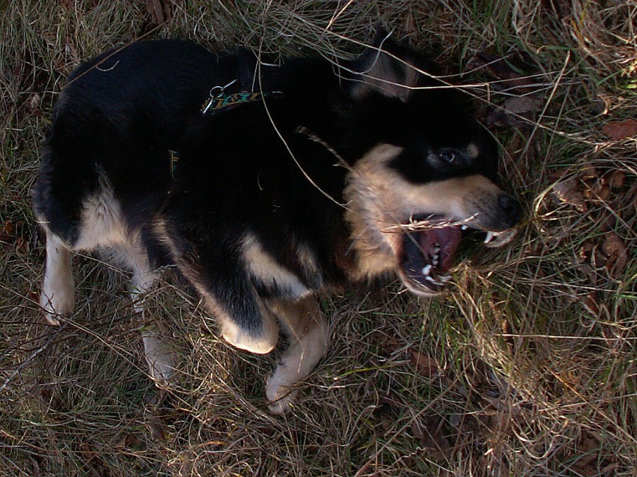 podzim - zima 2007