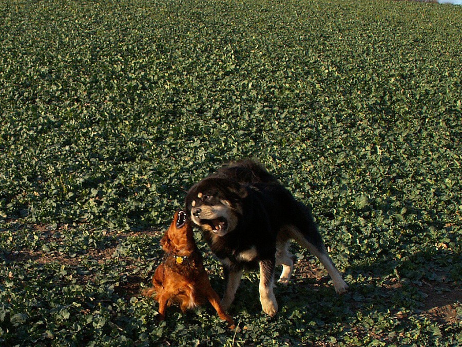 podzim - zima 2007