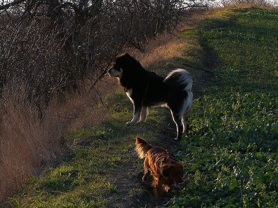 podzim - zima 2007