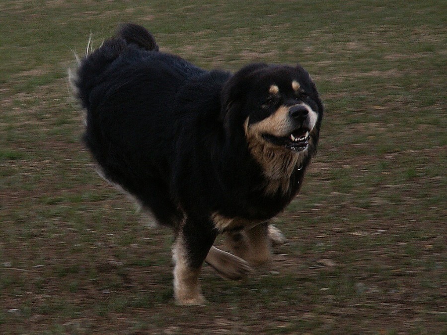 podzim - zima 2007