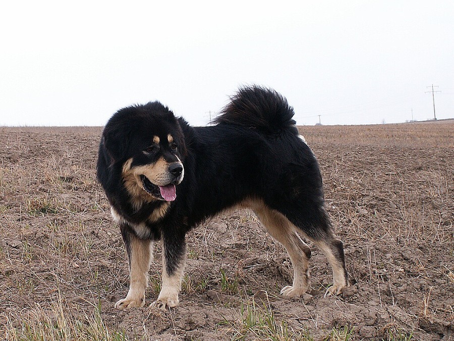 podzim - zima 2007