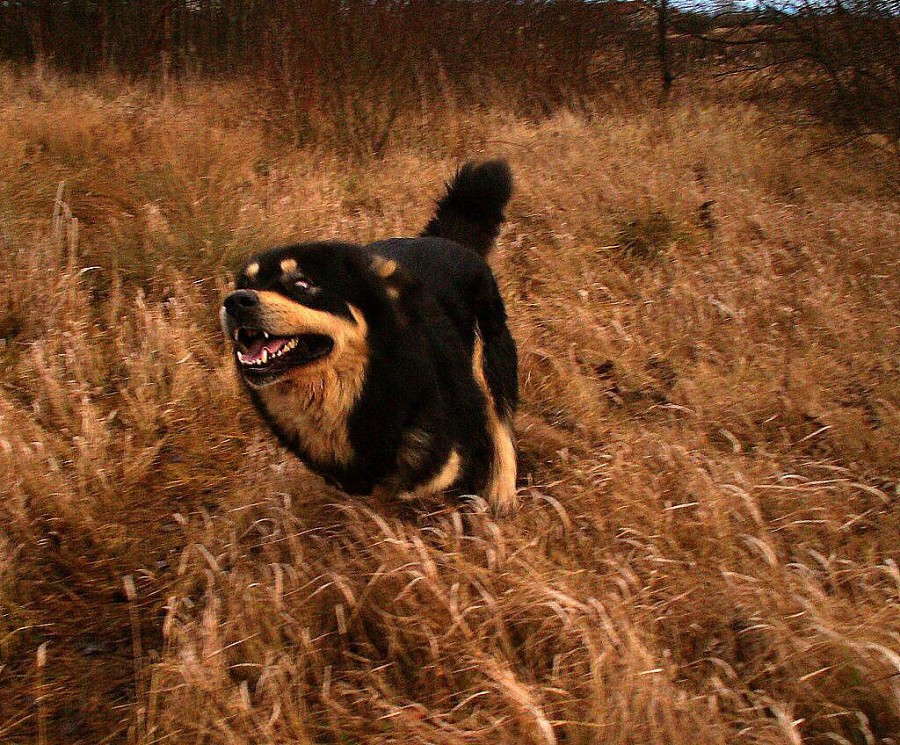 podzim - zima 2007