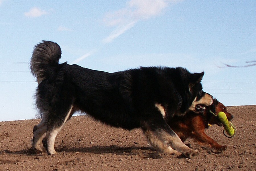 podzim - zima 2007