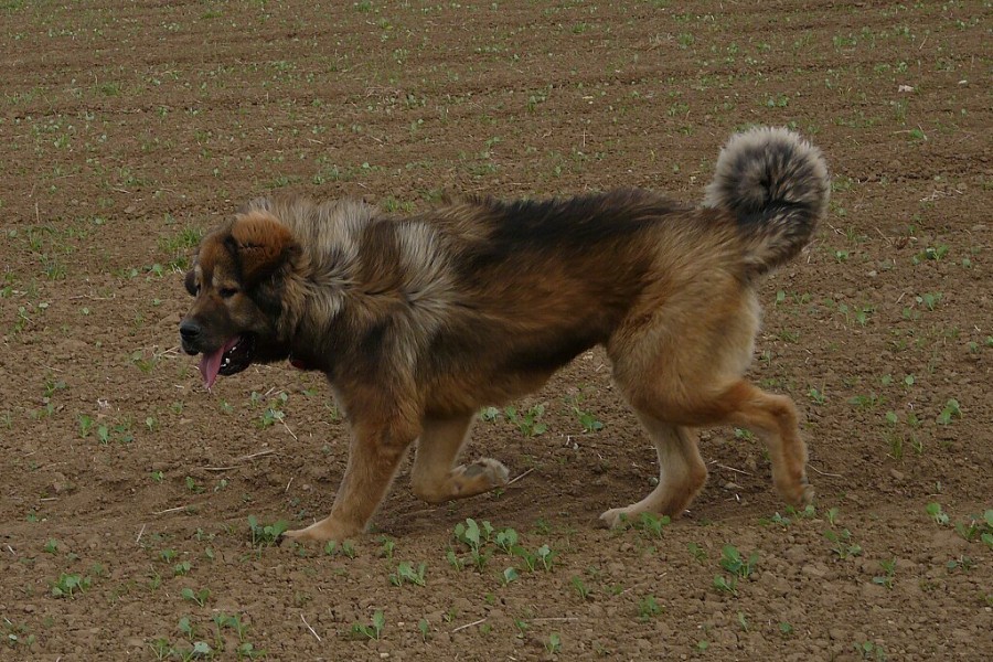 říjen - prosinec 2008